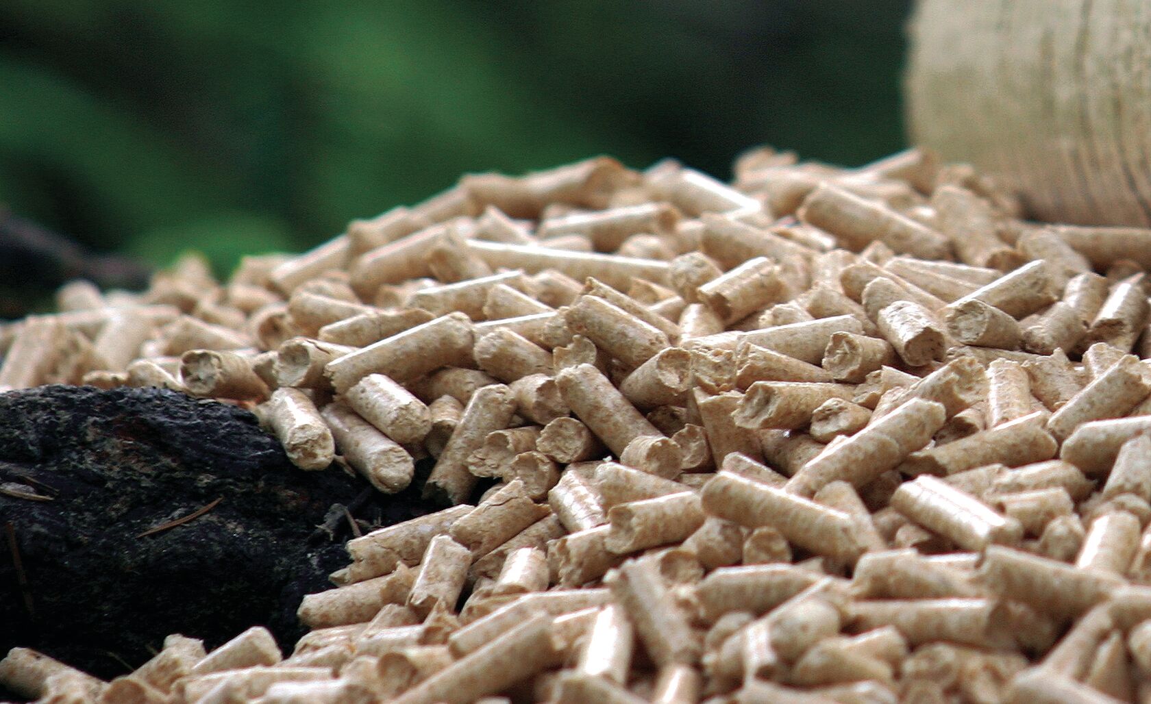 Ein Haufen Holzpellets, die als umweltfreundlicher Brennstoff verwendet werden. Sie bestehen aus verdichtetem Sägemehl und sind effizient für Heizsysteme. Ein Haufen Holzpellets, die als umweltfreundlicher Brennstoff verwendet werden. Sie bestehen aus verdichtetem Sägemehl und sind effizient für Heizsysteme.