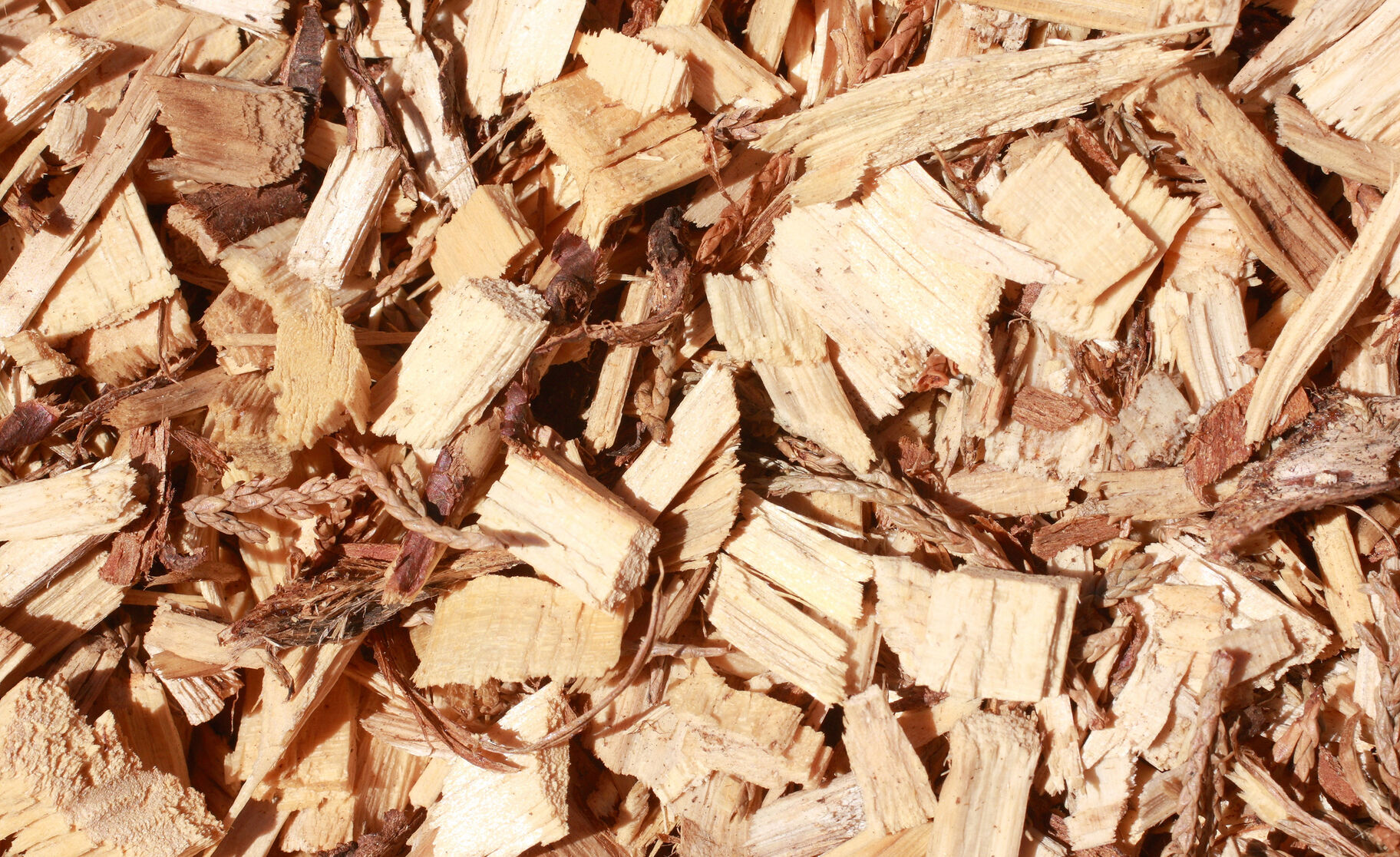 Ein Haufen von Holzhackschnitzeln, die als erneuerbarer Brennstoff für Heizanlagen genutzt werden können. Sie sind eine umweltfreundliche Alternative zu fossilen Brennstoffen. Ein Haufen von Holzhackschnitzeln, die als erneuerbarer Brennstoff für Heizanlagen genutzt werden können. Sie sind eine umweltfreundliche Alternative zu fossilen Brennstoffen.