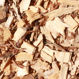 shutterstock_31281706_klein