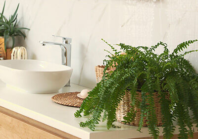 Ein Badezimmer mit einem weißen Waschbecken und einer modernen Armatur. Auf der Ablage stehen ein großer Farn in einem Korb und weitere Pflanzen. Ein Badezimmer mit einem weißen Waschbecken und einer modernen Armatur. Auf der Ablage stehen ein großer Farn in einem Korb und weitere Pflanzen.
