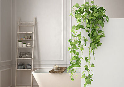 Ein stilvoll eingerichtetes Badezimmer mit einer freistehenden Badewanne. Eine Leiter dient als Regal für Handtücher und Accessoires. Ein stilvoll eingerichtetes Badezimmer mit einer freistehenden Badewanne. Eine Leiter dient als Regal für Handtücher und Accessoires.