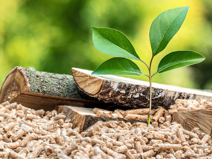 Das Bild zeigt Holzpellets und Holzscheite, mit einer kleinen Pflanze, die aus den Pellets wächst. Dies symbolisiert nachhaltige Energie und Naturverbundenheit. Das Bild zeigt Holzpellets und Holzscheite, mit einer kleinen Pflanze, die aus den Pellets wächst. Dies symbolisiert nachhaltige Energie und Naturverbundenheit.